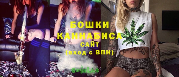 твердый Верхний Тагил